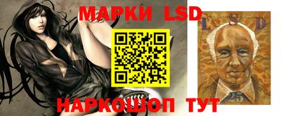 прущие грибы Пушкино