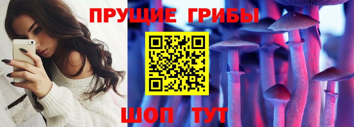 Псилоцибиновые грибы MAGIC MUSHROOMS  Вход с VPN  Прокопьевск 